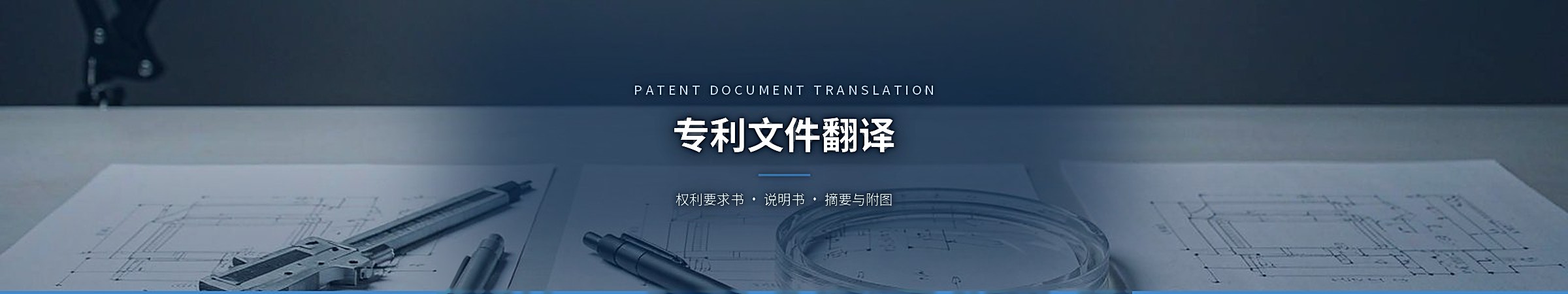 专利文件翻译(Patent Document Translation)